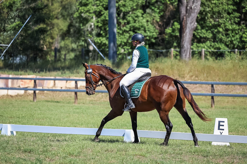 JPC Feb 2026 Dressage-7074.jpg