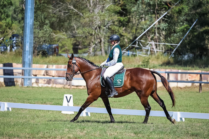 JPC Feb 2026 Dressage-7075.jpg