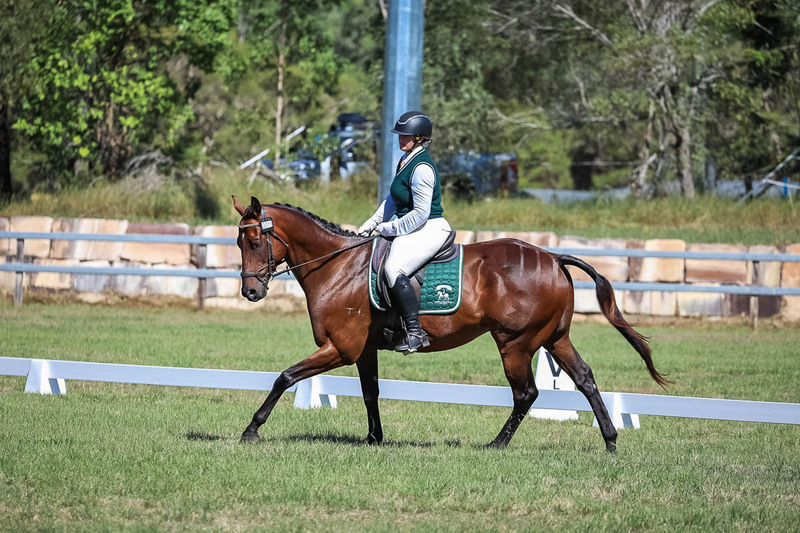 JPC Feb 2026 Dressage-7076.jpg