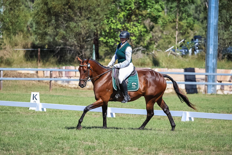 JPC Feb 2026 Dressage-7077.jpg