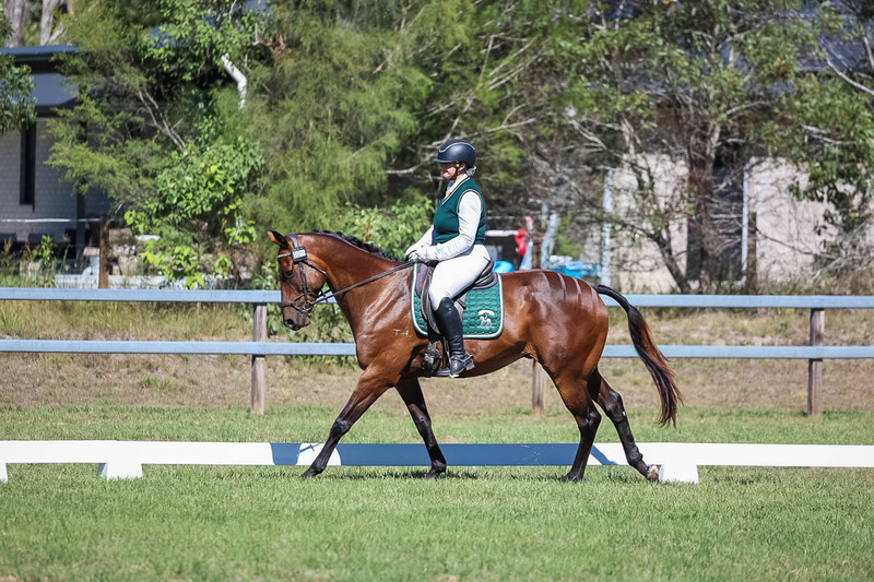 JPC Feb 2026 Dressage-7079.jpg