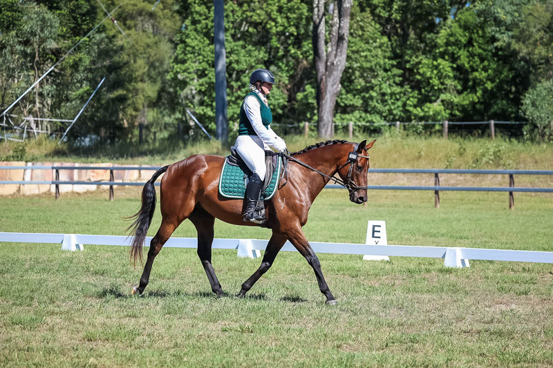 JPC Feb 2026 Dressage-7080.jpg