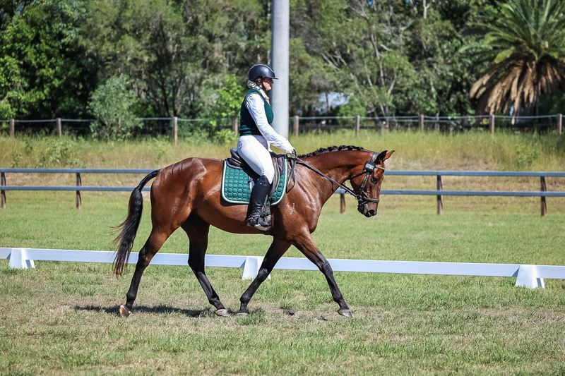JPC Feb 2026 Dressage-7081.jpg