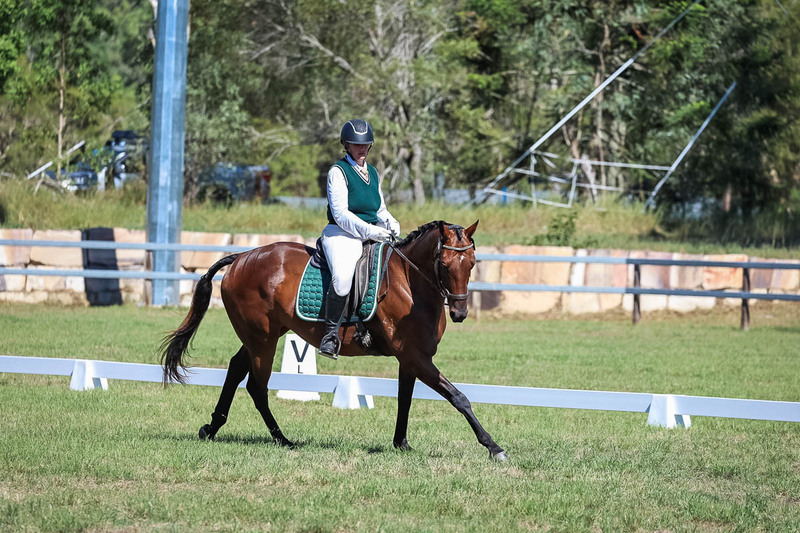 JPC Feb 2026 Dressage-7082.jpg