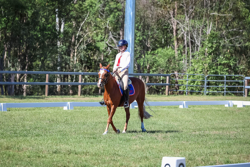 JPC Feb 2026 Dressage-7084.jpg
