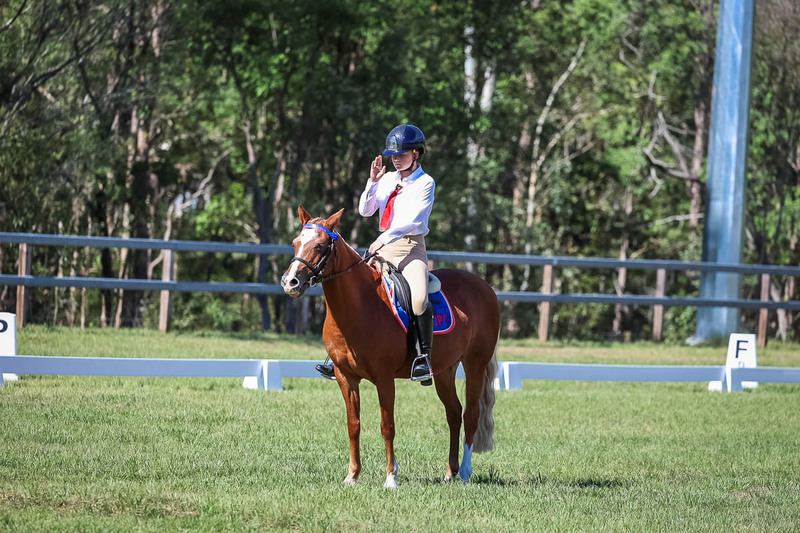 JPC Feb 2026 Dressage-7085.jpg