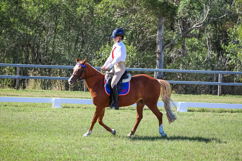 JPC Feb 2026 Dressage-7086.jpg