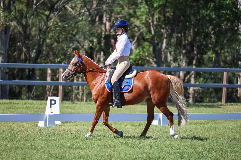 JPC Feb 2026 Dressage-7089.jpg