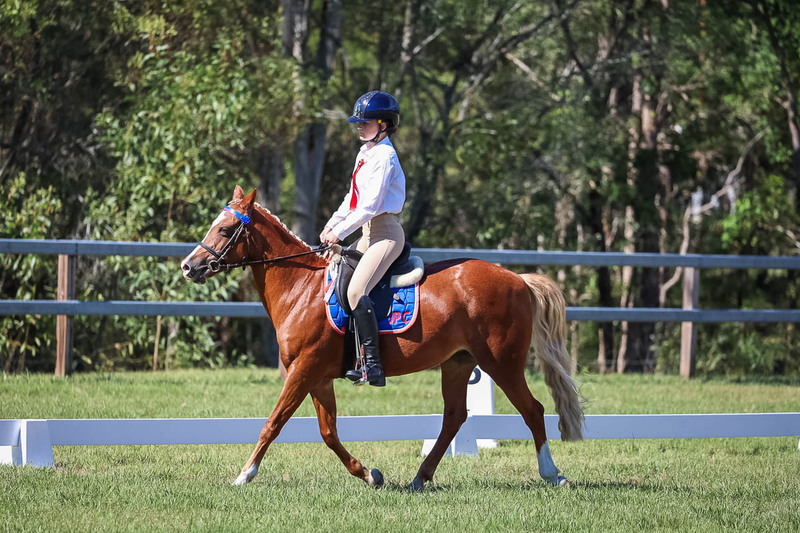 JPC Feb 2026 Dressage-7090.jpg
