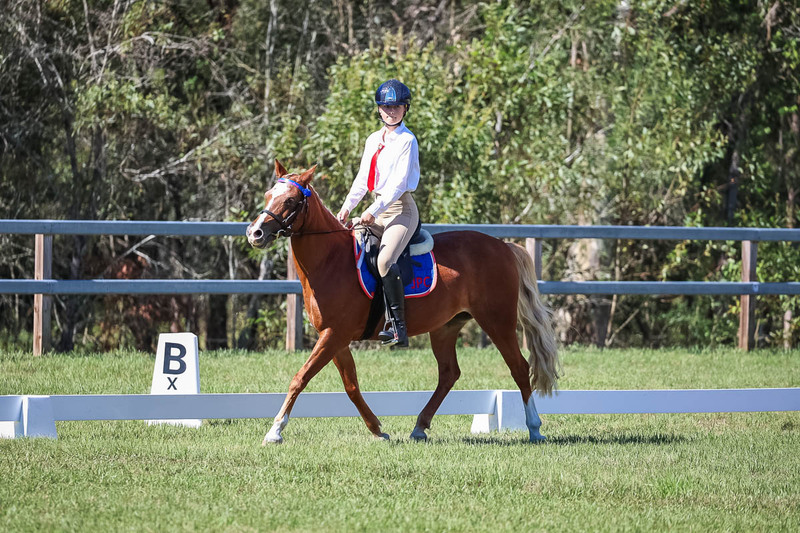JPC Feb 2026 Dressage-7091.jpg