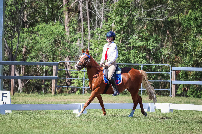 JPC Feb 2026 Dressage-7094.jpg