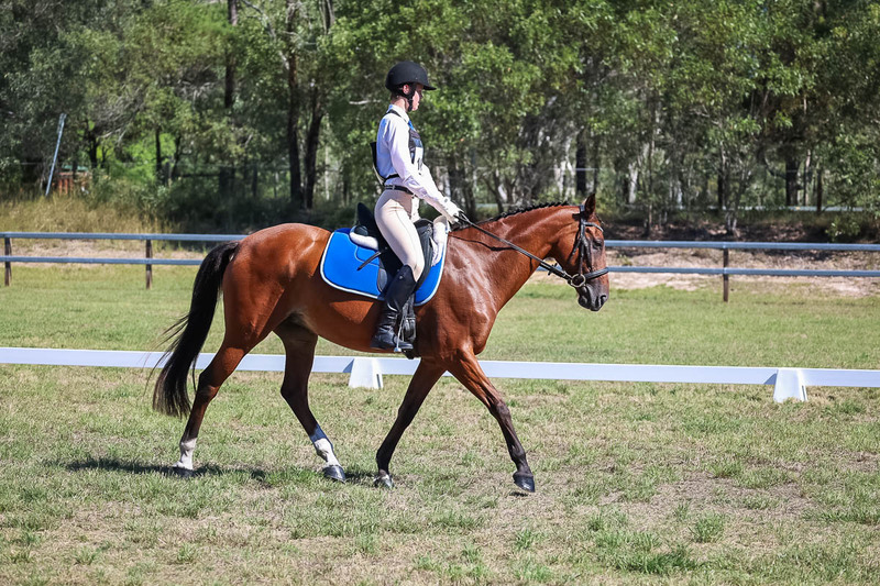 JPC Feb 2026 Dressage-7098.jpg