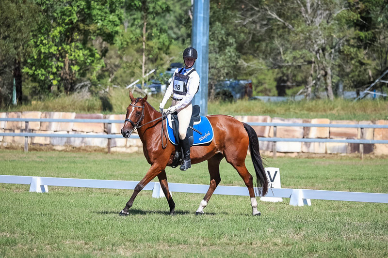 JPC Feb 2026 Dressage-7100.jpg