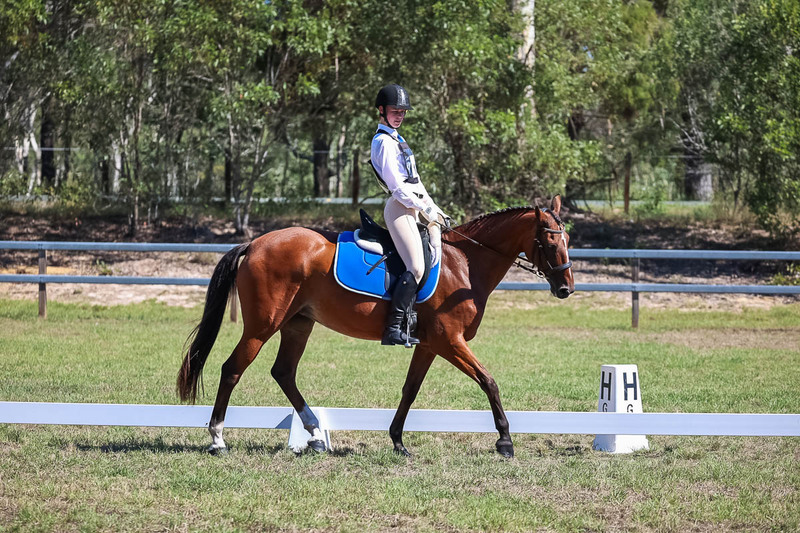 JPC Feb 2026 Dressage-7104.jpg