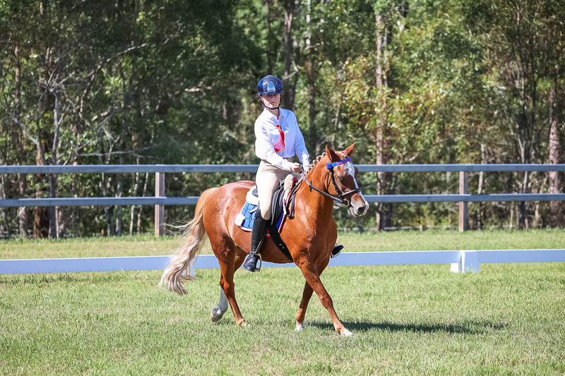 JPC Feb 2026 Dressage-7106.jpg