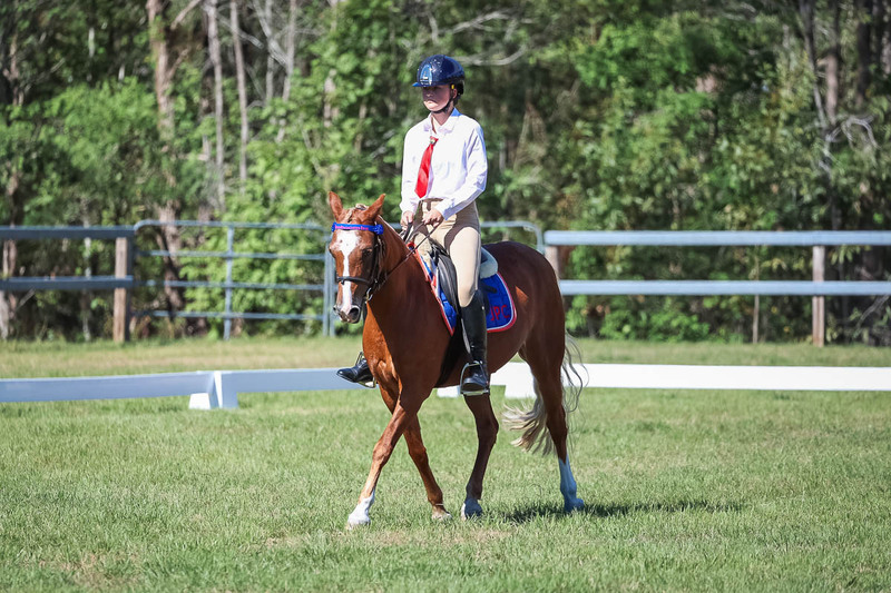 JPC Feb 2026 Dressage-7109.jpg