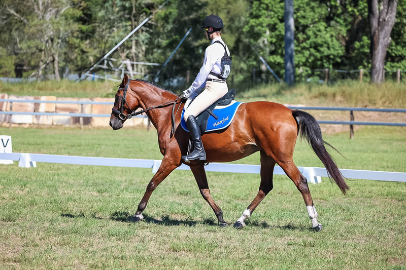 JPC Feb 2026 Dressage-7110.jpg