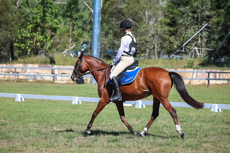 JPC Feb 2026 Dressage-7111.jpg