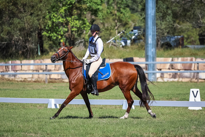 JPC Feb 2026 Dressage-7113.jpg