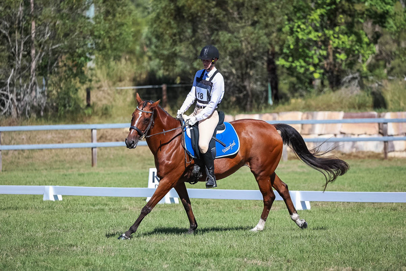JPC Feb 2026 Dressage-7114.jpg
