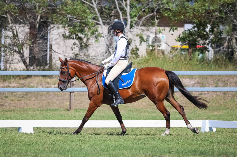 JPC Feb 2026 Dressage-7115.jpg