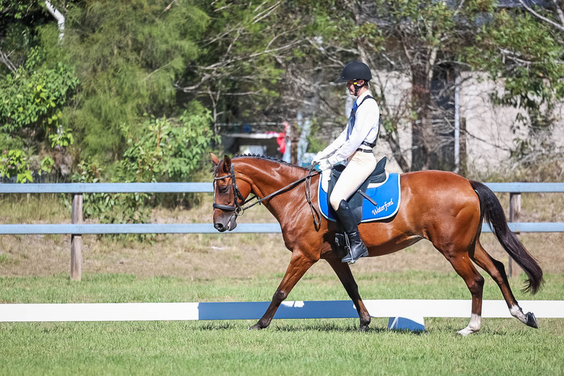 JPC Feb 2026 Dressage-7116.jpg