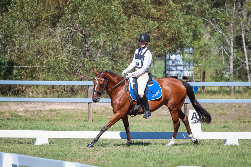 JPC Feb 2026 Dressage-7118.jpg