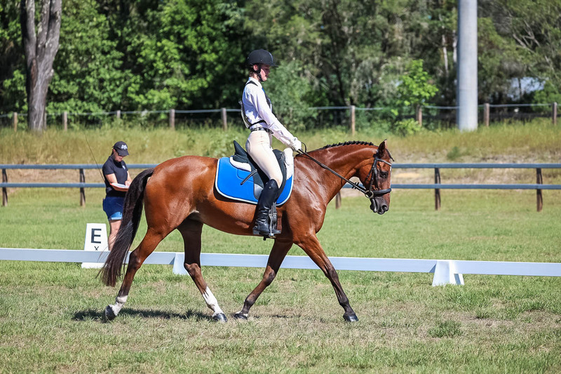 JPC Feb 2026 Dressage-7120.jpg