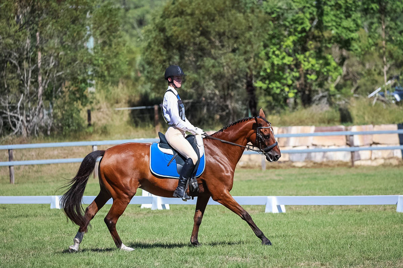 JPC Feb 2026 Dressage-7121.jpg