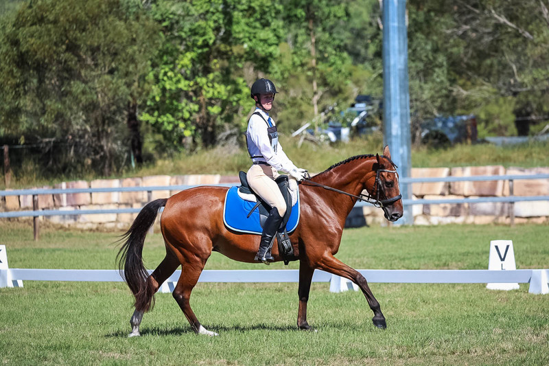 JPC Feb 2026 Dressage-7122.jpg