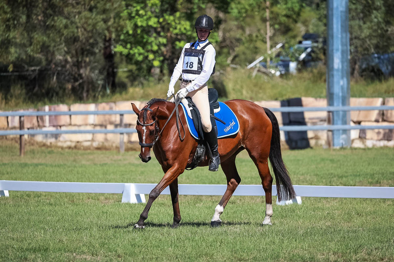 JPC Feb 2026 Dressage-7125.jpg