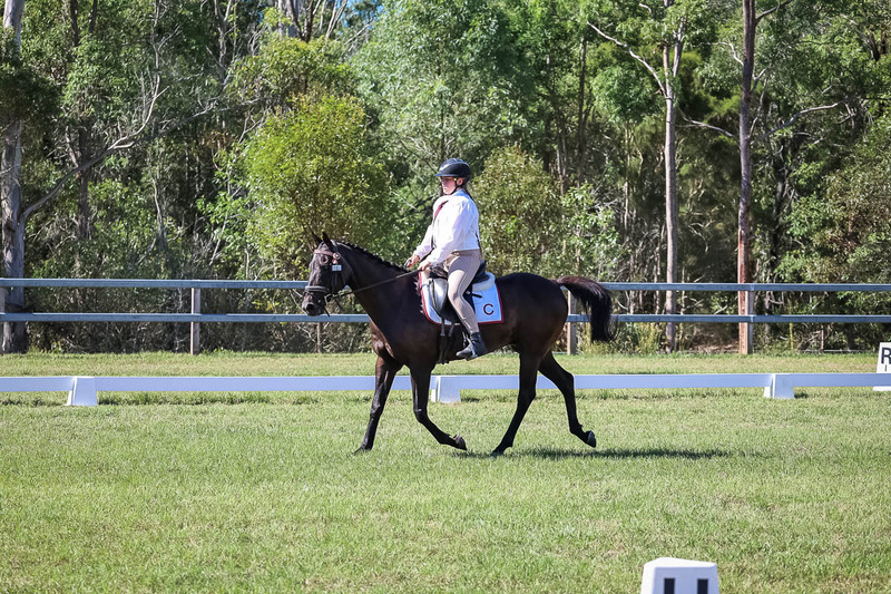 JPC Feb 2026 Dressage-7127.jpg