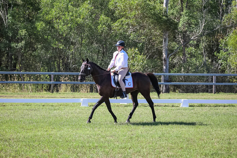 JPC Feb 2026 Dressage-7128.jpg