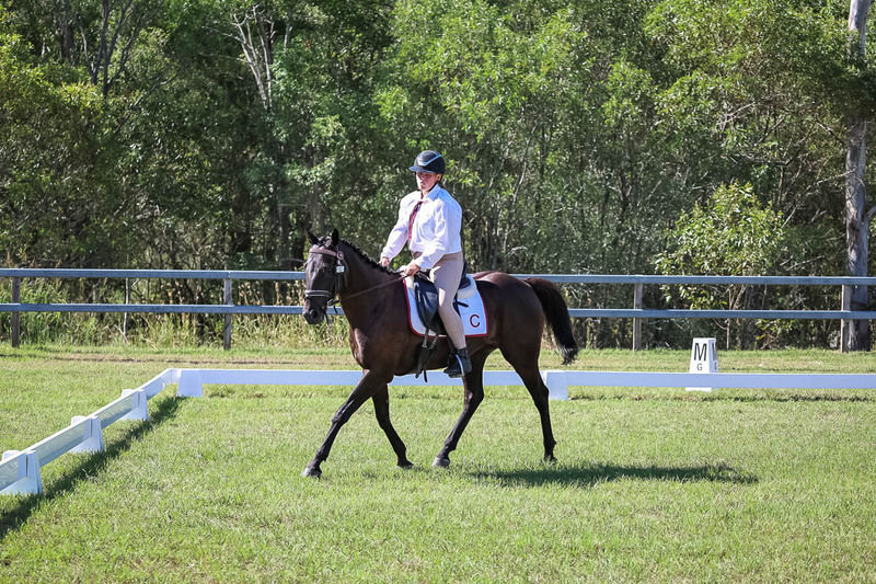 JPC Feb 2026 Dressage-7129.jpg