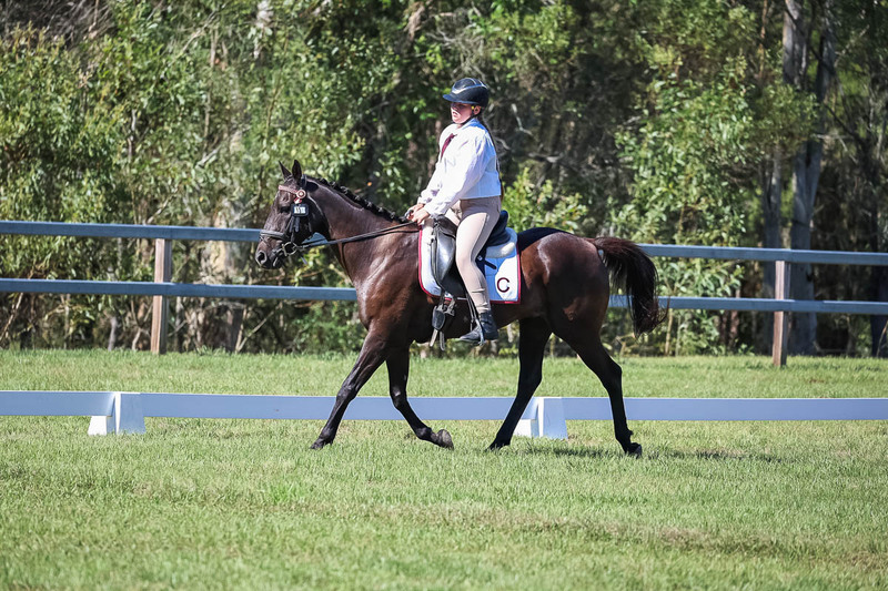 JPC Feb 2026 Dressage-7131.jpg