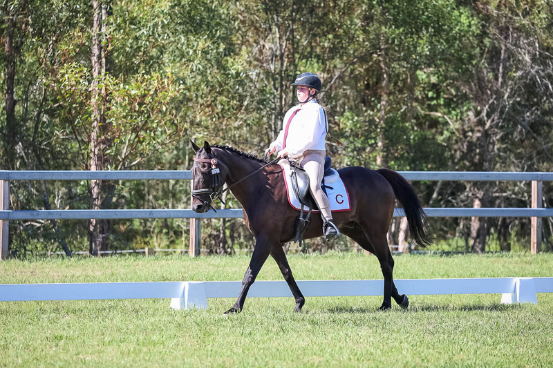 JPC Feb 2026 Dressage-7134.jpg