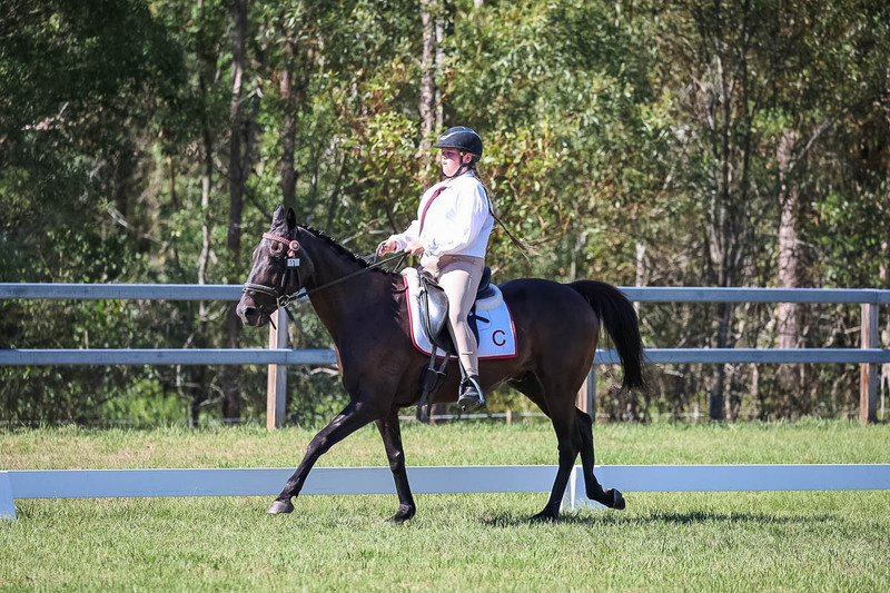 JPC Feb 2026 Dressage-7135.jpg