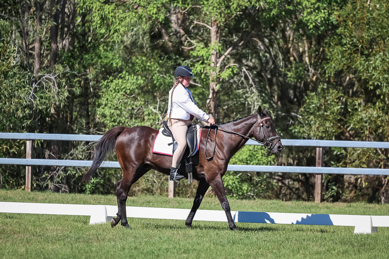 JPC Feb 2026 Dressage-7136.jpg