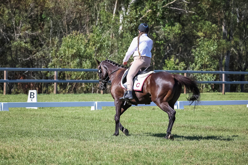 JPC Feb 2026 Dressage-7137.jpg