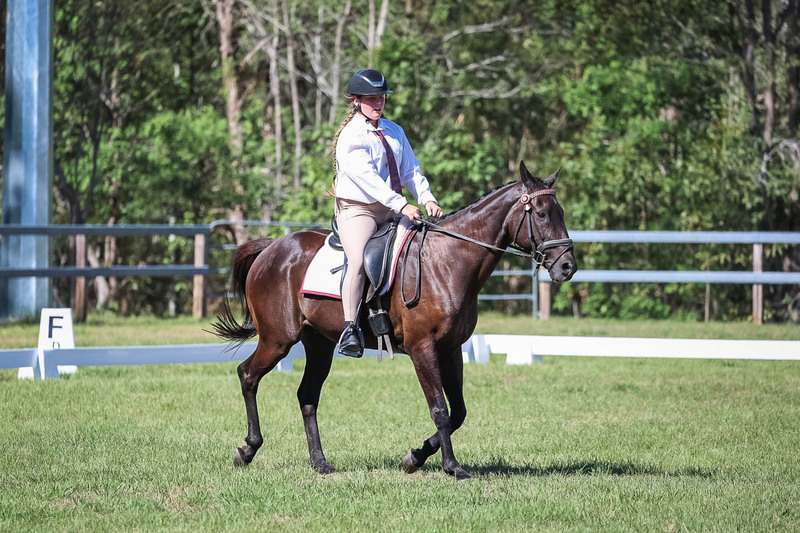 JPC Feb 2026 Dressage-7138.jpg