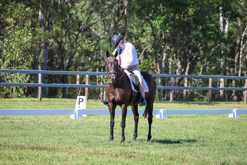 JPC Feb 2026 Dressage-7142.jpg