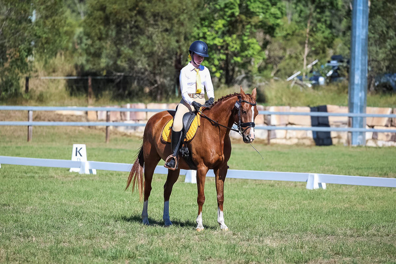 JPC Feb 2026 Dressage-7143.jpg