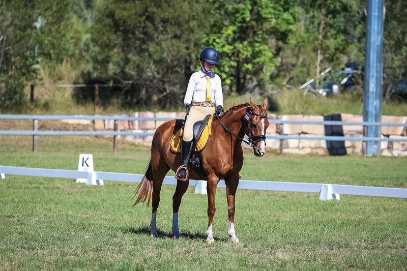 JPC Feb 2026 Dressage-7144.jpg