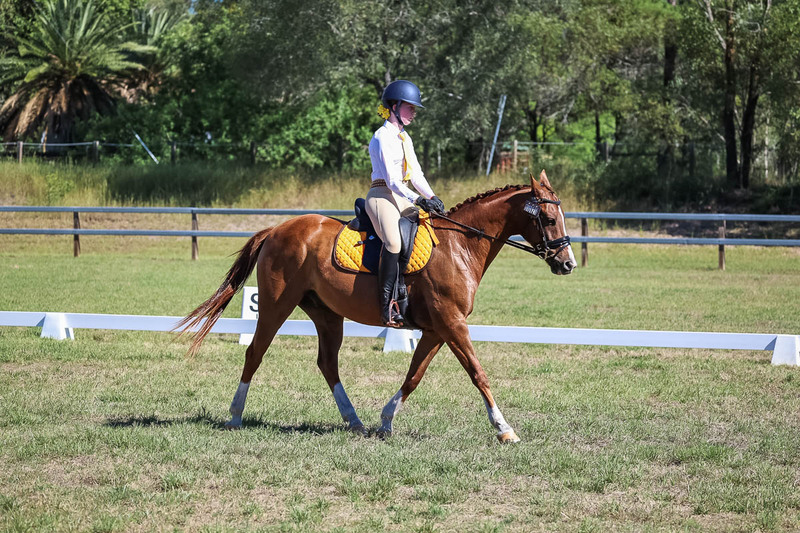 JPC Feb 2026 Dressage-7145.jpg