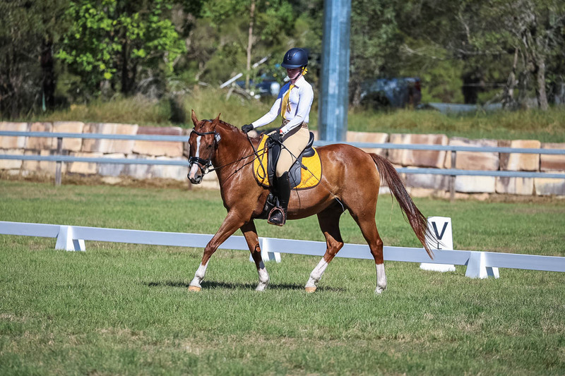 JPC Feb 2026 Dressage-7148.jpg
