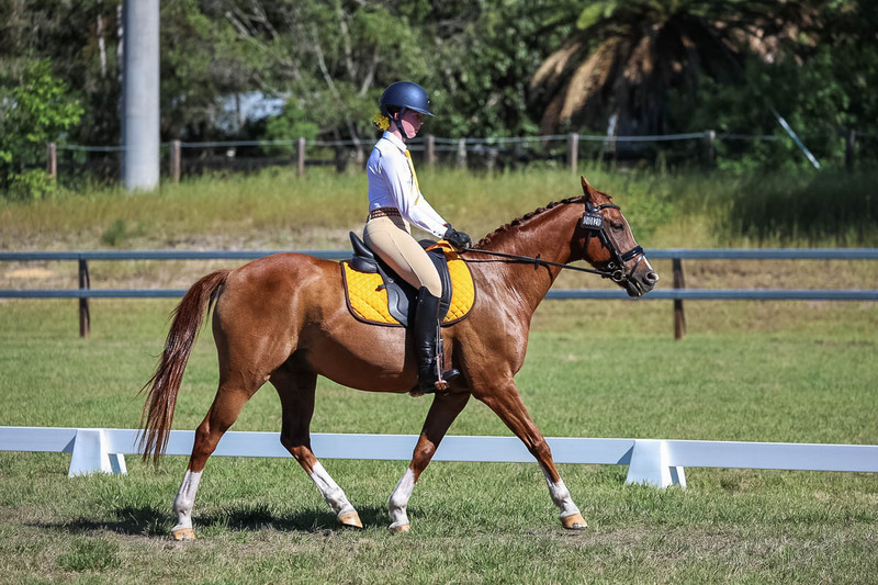 JPC Feb 2026 Dressage-7149.jpg