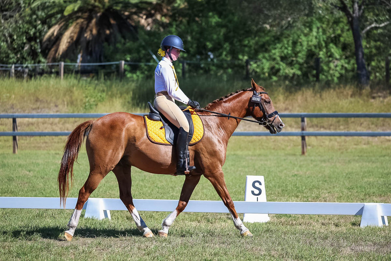 JPC Feb 2026 Dressage-7150.jpg