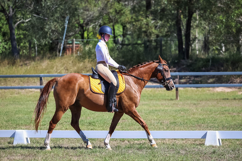 JPC Feb 2026 Dressage-7151.jpg
