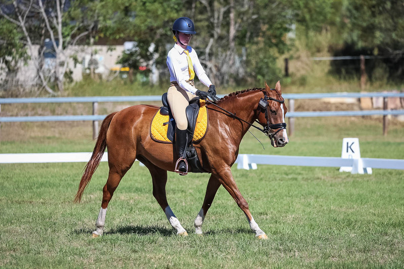 JPC Feb 2026 Dressage-7152.jpg
