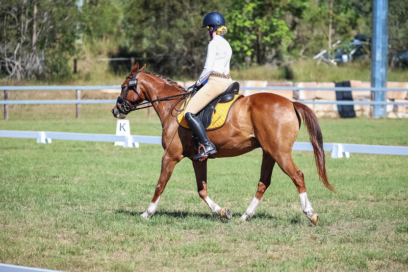 JPC Feb 2026 Dressage-7157.jpg